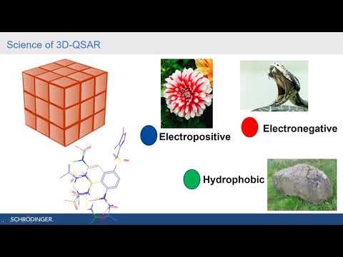 Ligand Based Approach QSAR & Pharmacophore Modelling