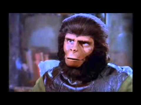 King Veganismus One & Dr. Alsan - 04. WURSTBITCH feat. Hacklo$$ der letzte tighte Veganer.