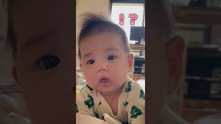 目で訴えてくるうちの子/No blink baby #shorts