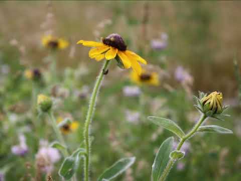 Autumn Reflections - Time for Personal Reflection