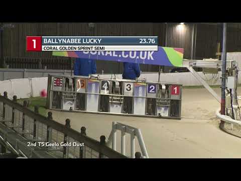 2021 CORAL GOLDEN SPRINT - 3RD SEMI - T1 BALLYNABEE LUCKY