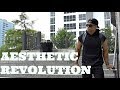 NEW 2017 AESTHETIC REVOLUTION CLOTHING REVIEW!!