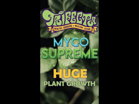 start off your plants with this #mycorrhiza #mycorrhizae