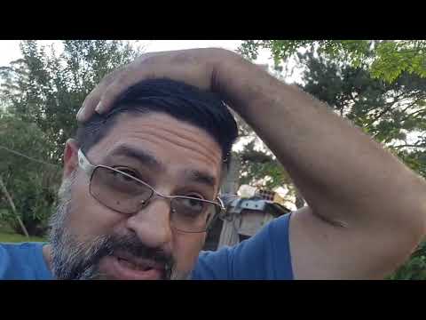 Marcando presença por Canelinha santa Catarina Brasil 👆 opinião sobre spacefox!