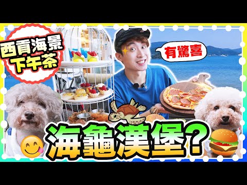 【香港美食😋🐶】帶狗狗在西貢看海景～初嘗「海龜漢堡」🐢？😳餐廳味道有驚喜！(中文字幕) )西貢Dogcation寵物友善餐廳