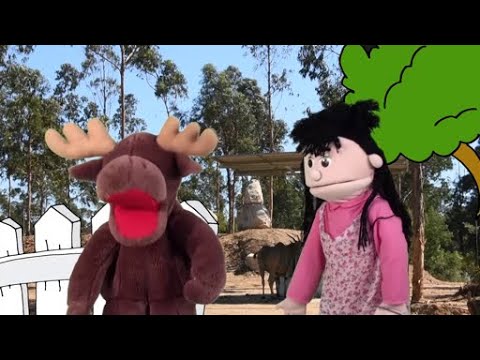 Where Do Bears Live? | Sing and Play Blue Adventures | Simple Skits and Songs for Kids