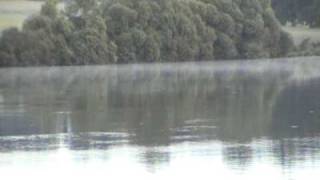 preview picture of video 'Carp: Villedon May 2007 Pt9'