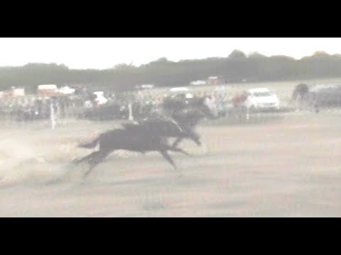 FARAONA - CANCHA TIA CUKA -04-03-2022