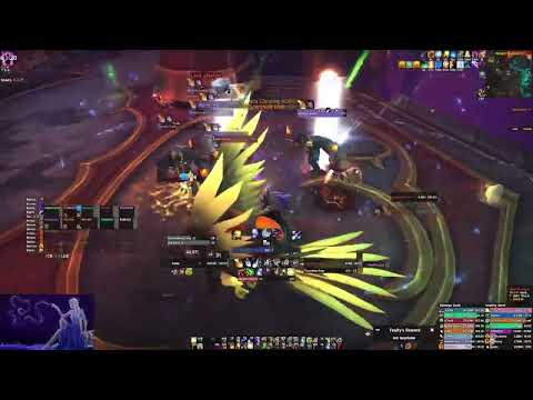 Assault of the Zaqali mythic - Balance Druid POV (Never)