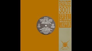 Paradise 3001   Surfin The Cuban Waves
