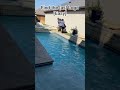 Find The Adult Swim Logo As