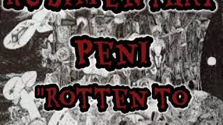 Rudimentary Peni - Rotten To The Core ( Lyrics Video ) Death Church