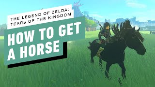 The Legend of Zelda: Tears of the Kingdom - How to Tame and Register a Horse