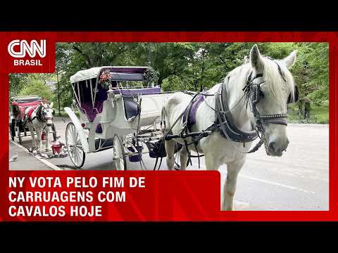NY vota pelo fim de carruagens com cavalos nesta quinta (22) | CNN NOVO DIA