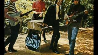 Travel With Your Mind - Seeds