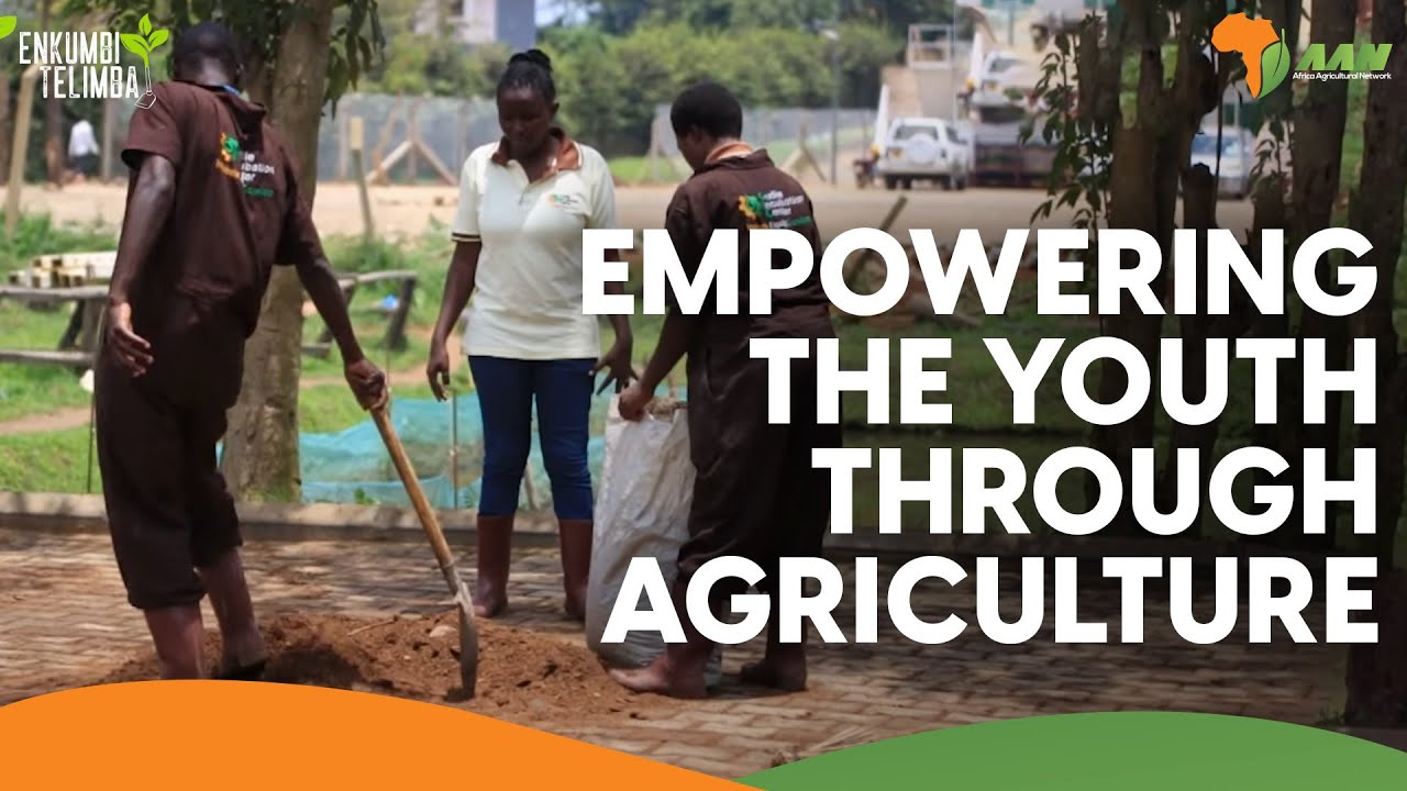 Empowering the youth through Agriculture & Agribusiness | Gudie Leisure Farm