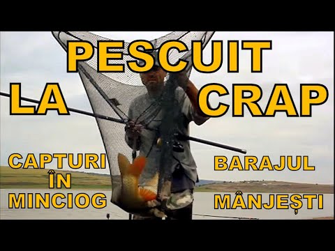 Pescuit la crap / Capturi baraj Manjesti Vaslui ( fishing pond )