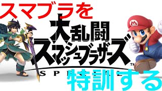 スマブラを特訓するぜぇぇぇl！！！