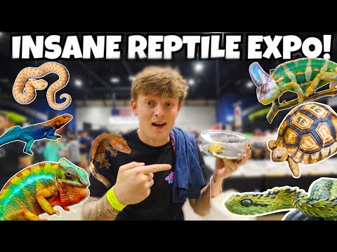 I SPENT OVER 1000$ AT THIS REPTILE SHOW!!  **INSANE**