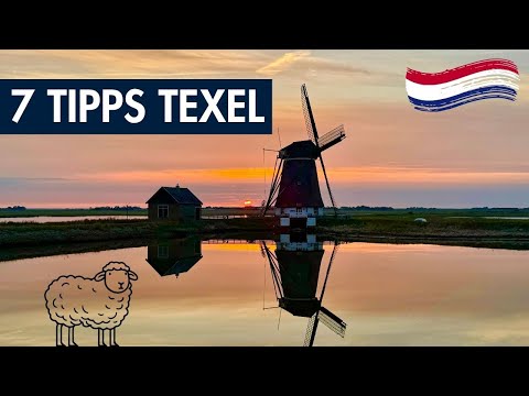🇳🇱 Texel entdecken: 7 Dinge, die uns auf der Insel richtig gut gefallen haben ✅