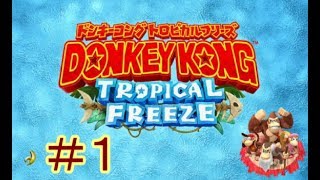 ［ゆっくり実況］ドンキーコング　トロピカルフリーズ＃１