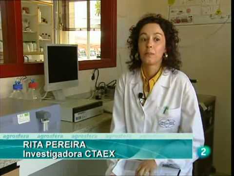 Agroesfera Innovación