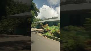 J&D on the sea,#dominica #cruisetour #carnivalships #travel #vacation