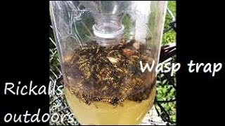 DIY Wasp Trap