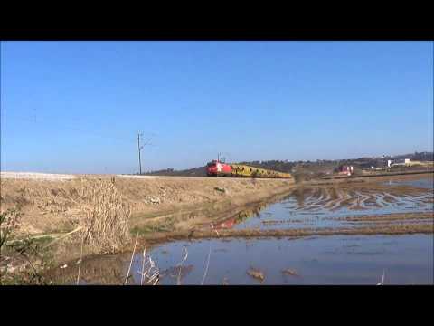 Comboio nº 50366 - P.K. 202 - Linha do Oeste