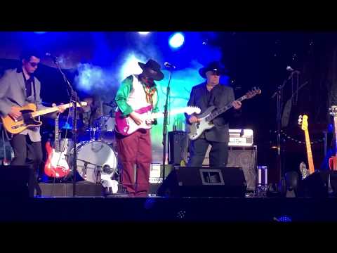 Thumbnail for Willie the Wimp by Jimmie Vaughan, Stevie Ray Vaughan, Reni
