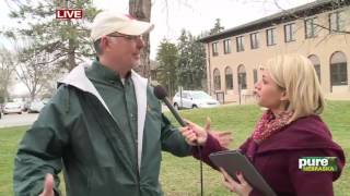 Champion Tree: How to Measure a Tree