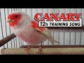 Mosaic CANARY 12h Training song