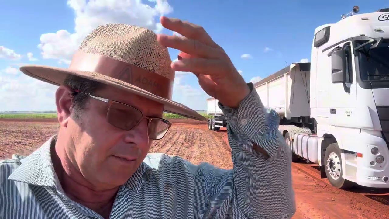 ✅ MOSTRANDO O MILHO NÃO IRRIGADO - SAFRINHA 2024  // MATO GROSSO DO SUL 💥💥💥