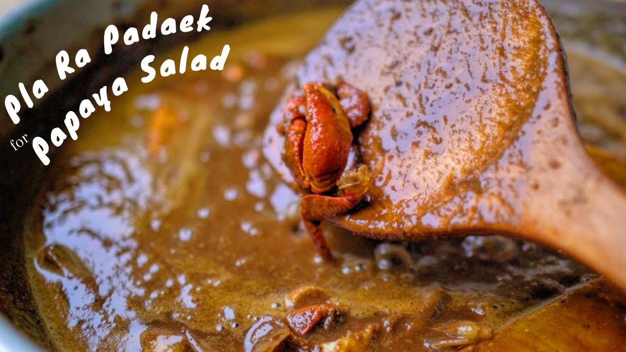 PLA RA PADAEK FOR PAPAYA SALAD | FERMENTED FISH SAUCE น้ำปลาร้าปรุงสำเร็จ ใส่ส้มตำ ตำบักหุ่ง
