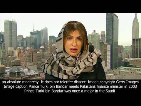 Saudi arabia's missing princes - bbc news