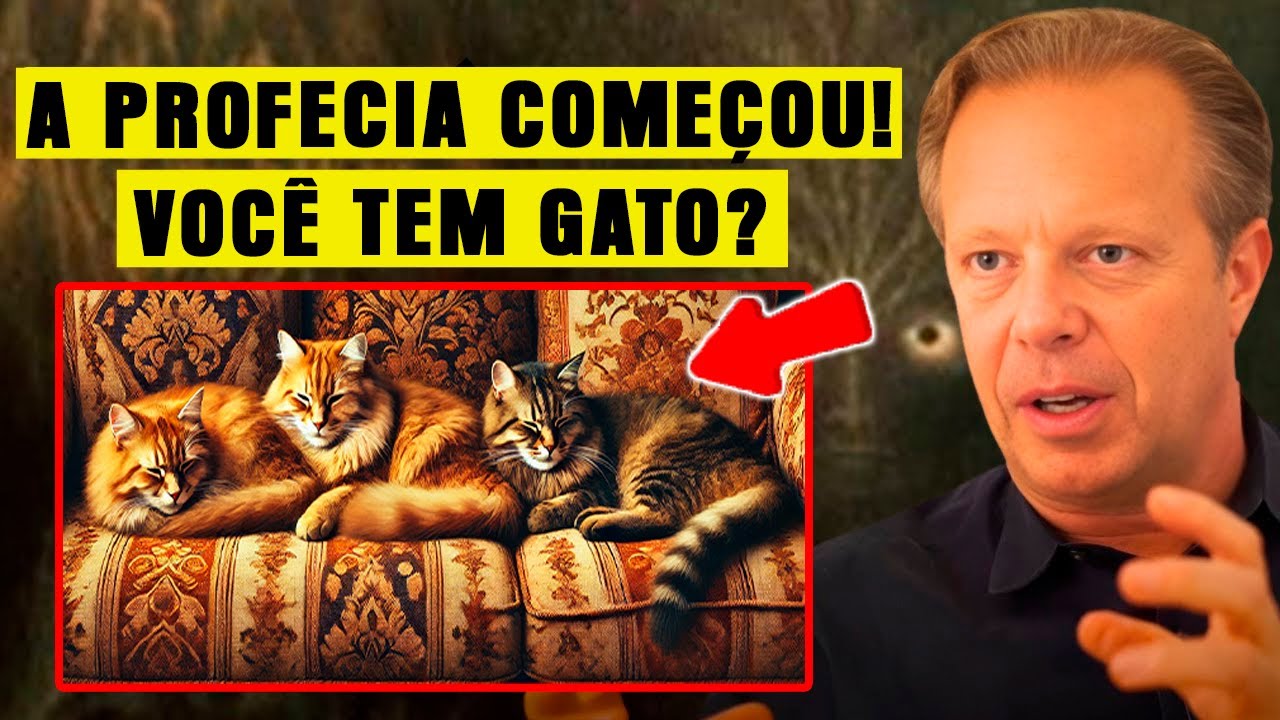CUIDADO! O Que Joe Dispenza Previu Para Quem Tem Gato Em Casa É CHOCANTE... – Dr Joe Dispenza