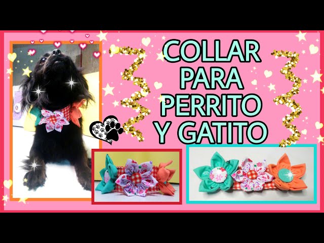 Vídeo relacionado con BIPY Collar para perros pequeños, flores, lazos, cachorros, gatos, collar floral, accesorios deslizables, accesorio de aseo desmontable para disfraz, cumpleaños, boda, festival, 4 Count (Pack of 1