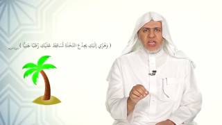 صورة أ.د علي بن عبدالعزيز الشبل | برنامج تنبيهات (2) | التوكل