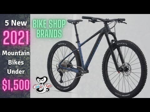 5 Best Mountain Bikes Under $1,500 - 2021 Mountain Bikes!