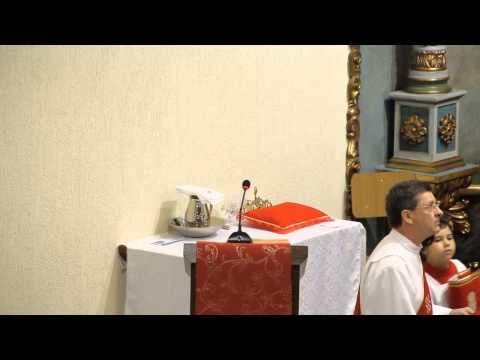 Homilia Pe. Félix Domingo de Ramos - 25/03/2013