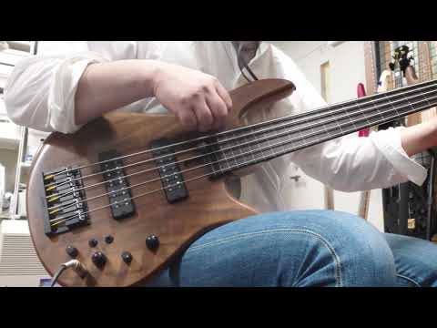 Fodera Monarch 5 Standard Special Figured Walnut Fretless image 14