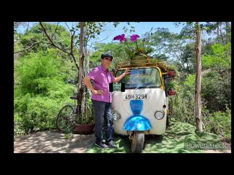 Người tình xa xôi Sheet - Mai Trâm