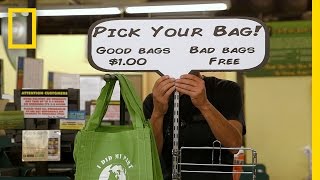 Crowd Control: Top 5 Bag Shamings