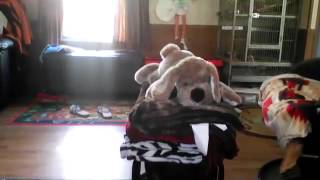 Shannon Mcnally's broadcast with CameraFi Live