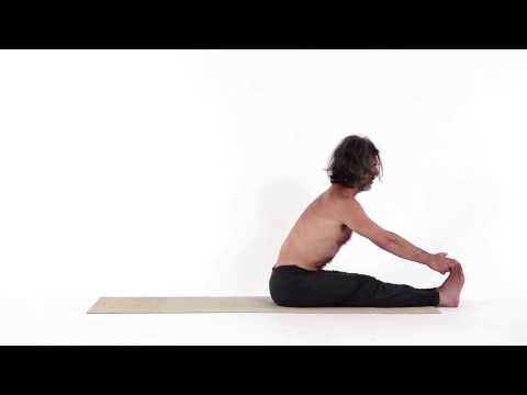 Sitzende Vorwärtsbeuge - Paschimottana Asana