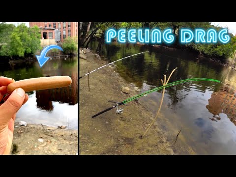 Learning how to catch CATFISH in Massachusetts (Summer Catfishing)