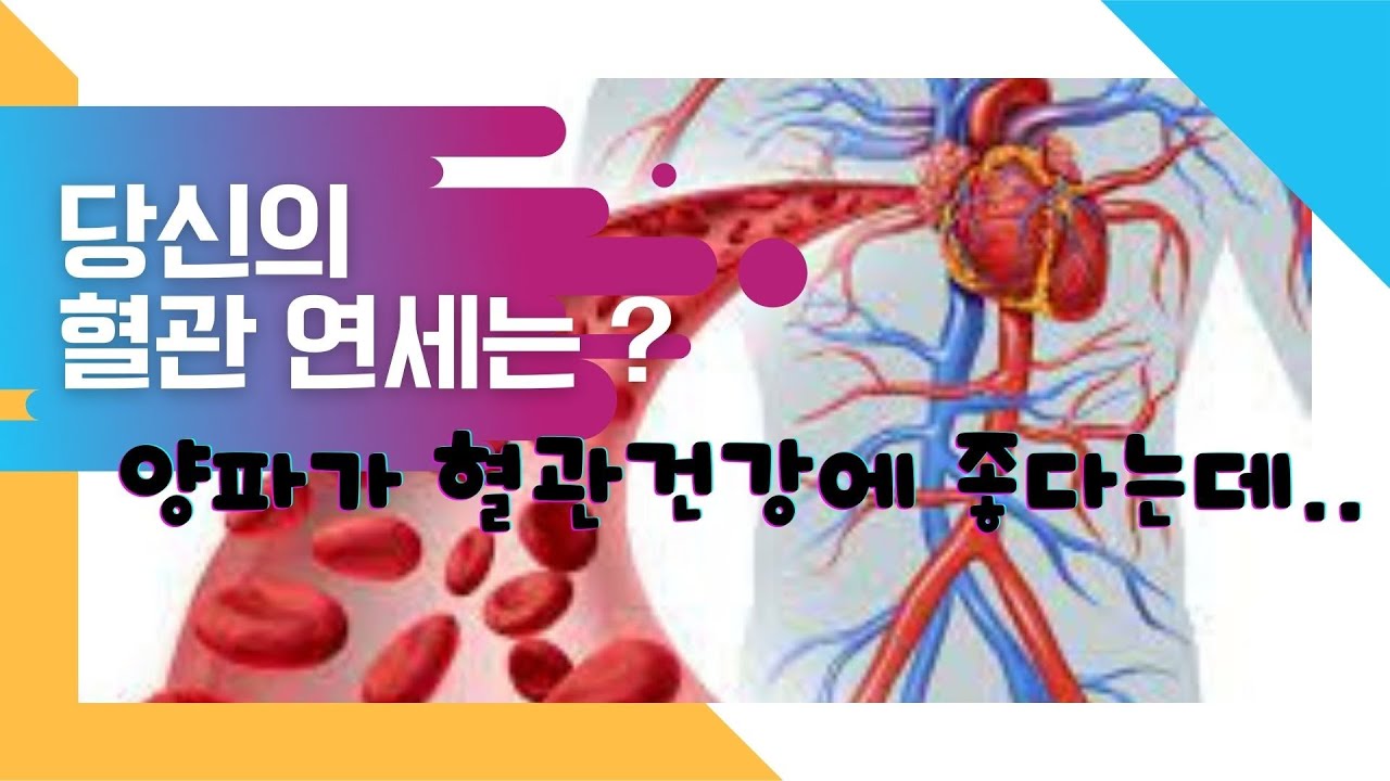 당신의 혈관나이는 어떻게 되십니끼? 양파의효능