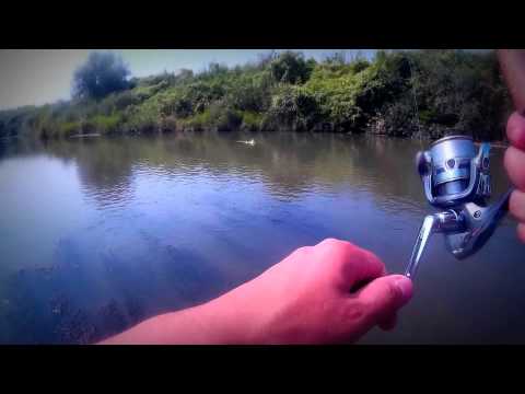Spinning la clean/chub fishing part 2