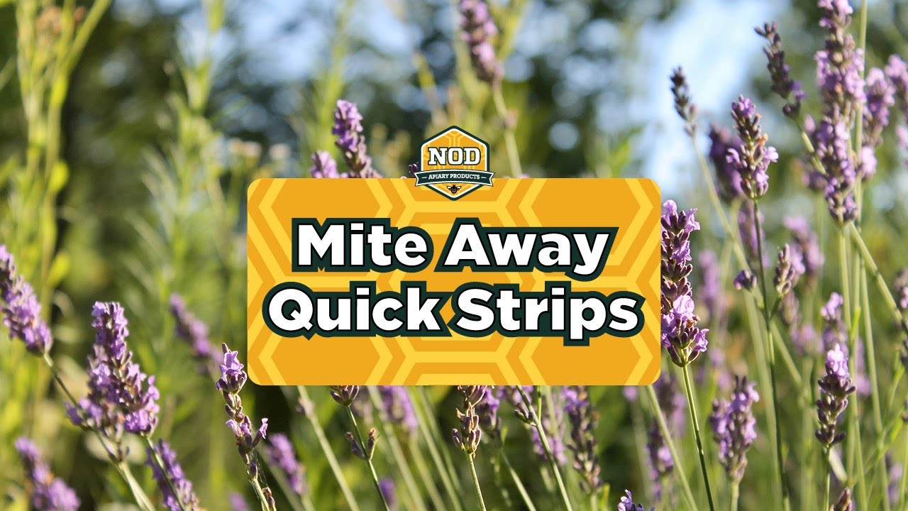 Video for Mite Away Quick Strips - 30 Treatment Pack Video for Mite Away Quick Strips - 30 Treatment Pack