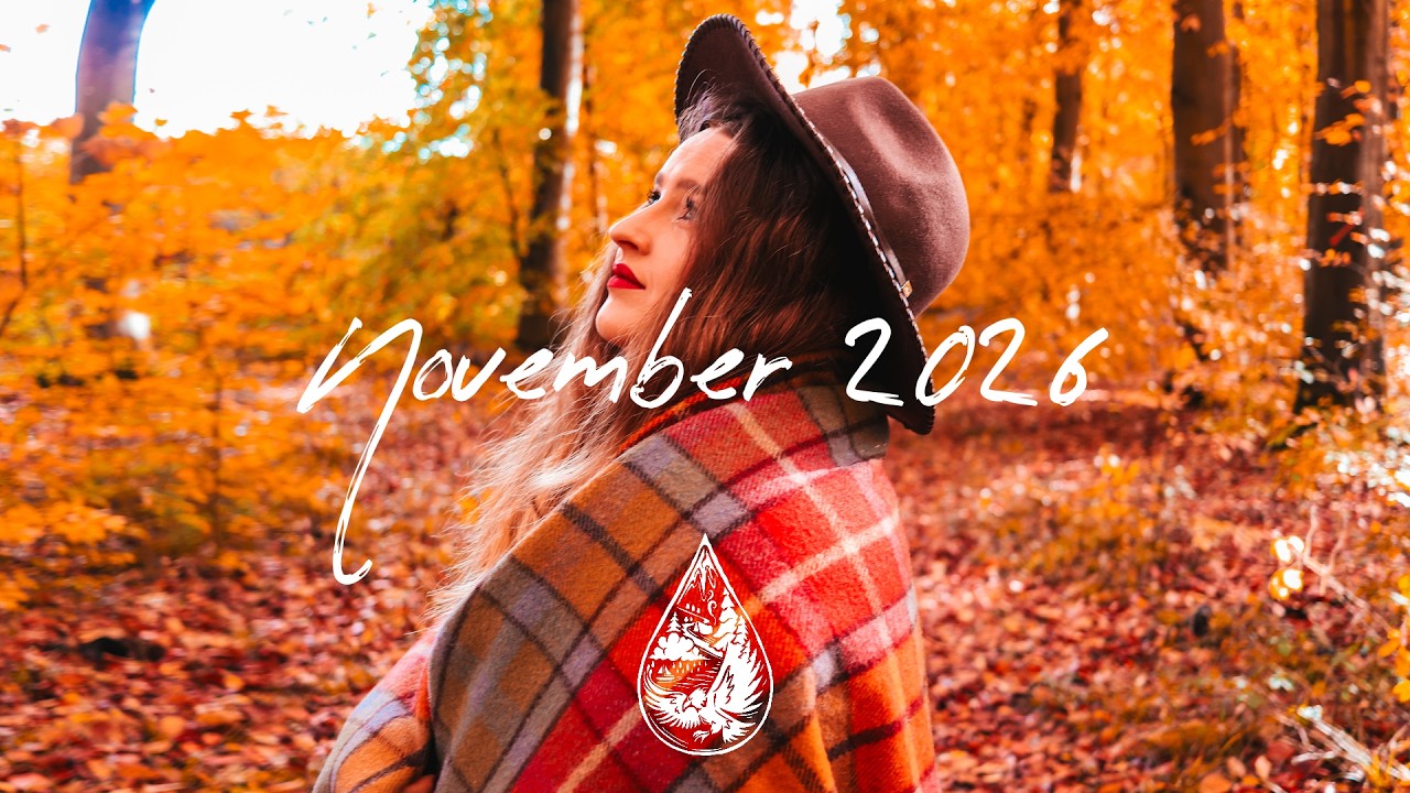 Indie/Pop/Folk Compilation • November 2026 🧣 (new discoveries | 2.5-hour playlist)